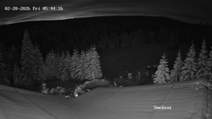 Směďava - Směďava, Černý vrch - 20.2.2026 v 05:45 Směďava - Směďava, Černý vrch - 20.2.2026 v 05:45