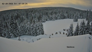 Směďava - Směďava, Černý vrch - 20.2.2026 v 07:15