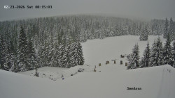 Směďava, Černý vrch