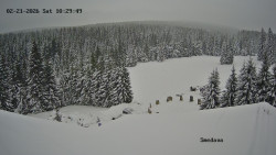 Směďava, Černý vrch