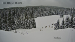 Směďava, Černý vrch