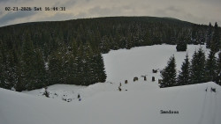 Směďava, Černý vrch