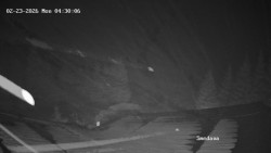 Směďava, Černý vrch