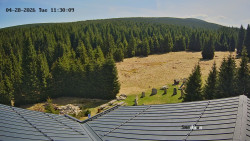 Směďava, Černý vrch