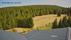 Směďava, Černý vrch