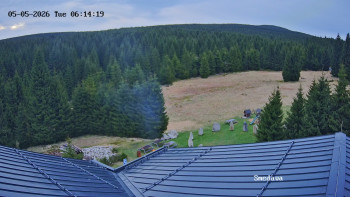 Směďava