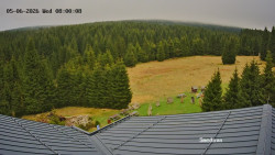 Směďava, Černý vrch