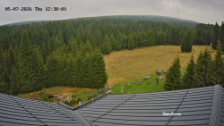 Směďava, Černý vrch