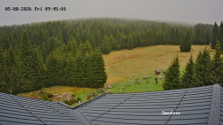 Směďava, Černý vrch
