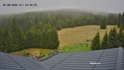 Směďava, Černý vrch