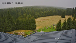 Směďava, Černý vrch