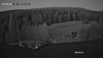 Směďava