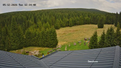 Směďava, Černý vrch