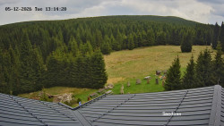 Směďava, Černý vrch