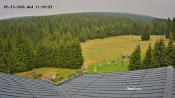 Směďava, Černý vrch