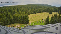Směďava, Černý vrch