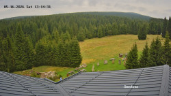 Směďava, Černý vrch