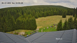 Směďava, Černý vrch