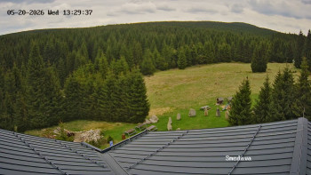 Směďava