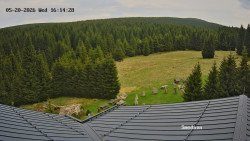 Směďava, Černý vrch