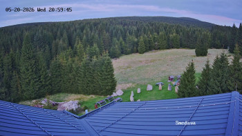 Směďava
