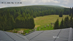 Směďava, Černý vrch