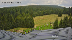Směďava, Černý vrch