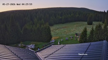 Směďava