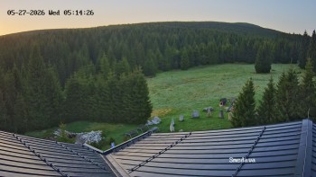 Směďava