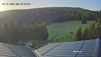 Směďava