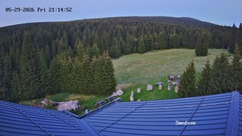 Směďava