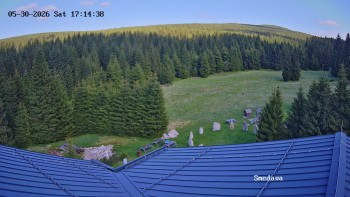 Směďava