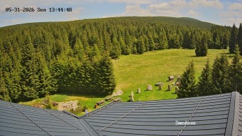 Směďava