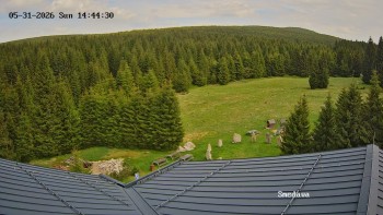 Směďava