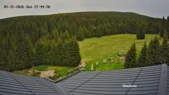 Směďava