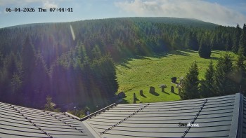 Směďava