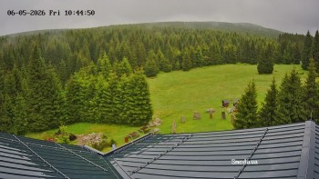 Směďava