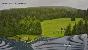 Směďava