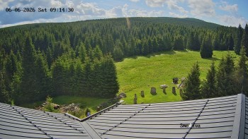 Směďava