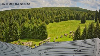 Směďava