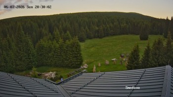 Směďava