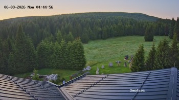 Směďava