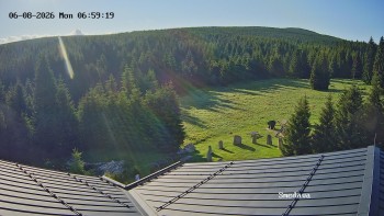 Směďava