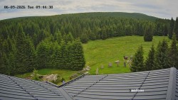 Směďava, Černý vrch