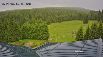 Směďava