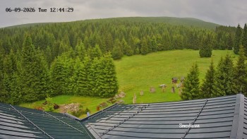 Směďava