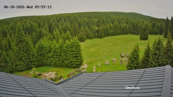 Směďava