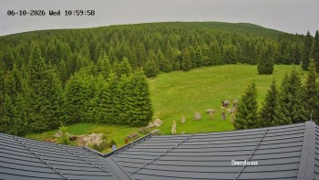 Směďava