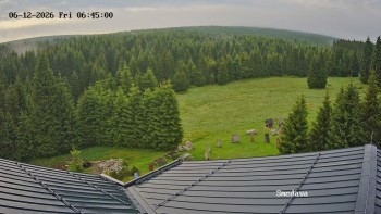 Směďava