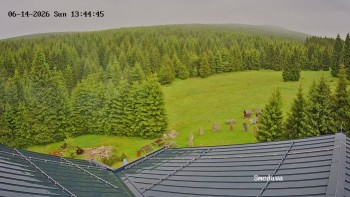 Směďava